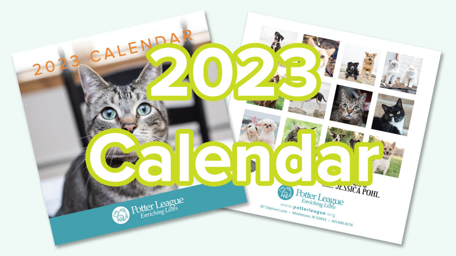 Home Potter League For Animals