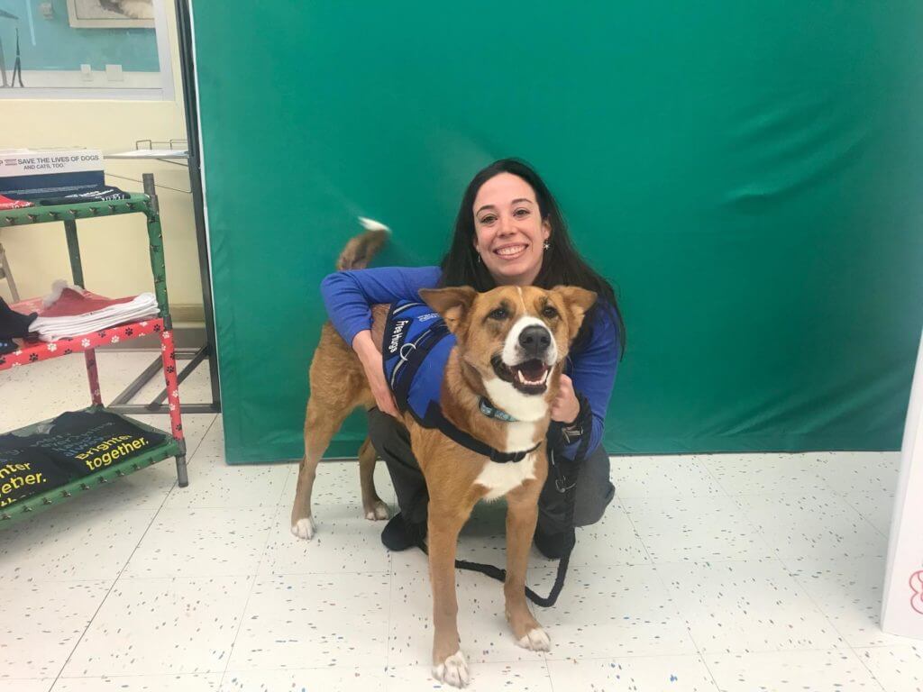 The Return of Puppy Pick 'Em at the Connecticut Humane Society