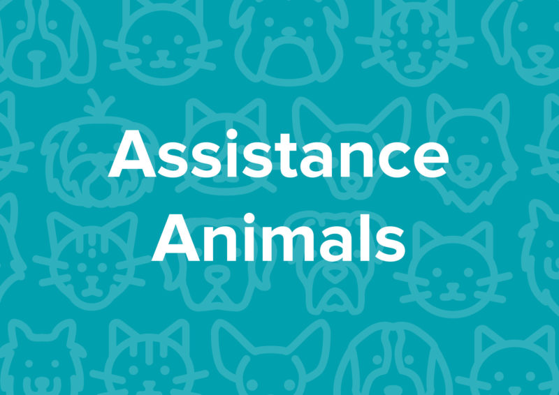 Blog Potter League For Animals