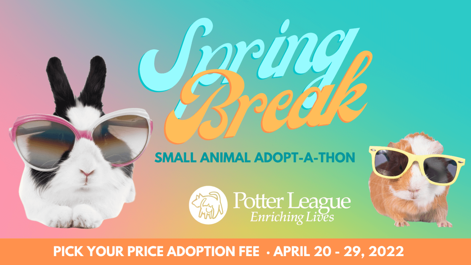 Spring Break Small Animal AdoptaThon Potter League For Animals