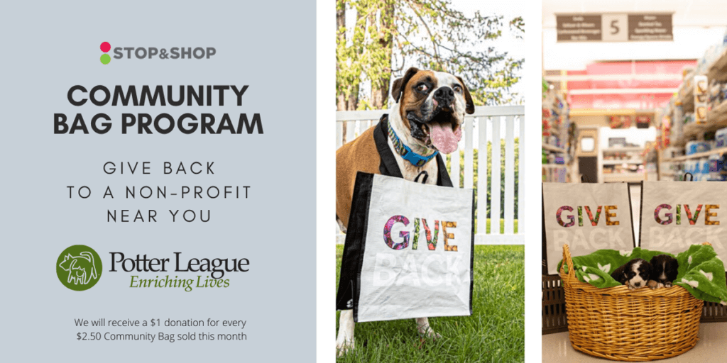 Potter League For Animals