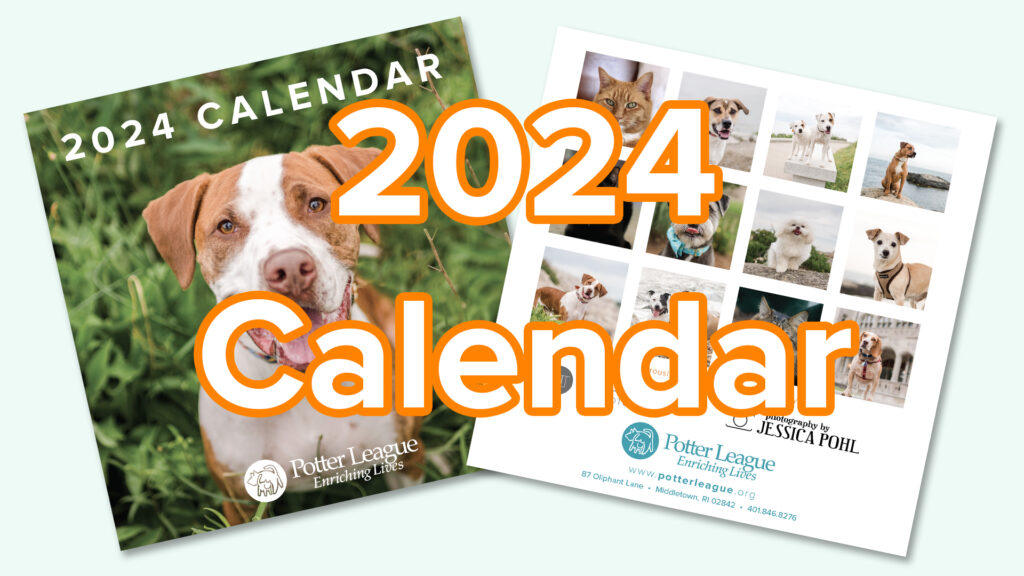 2024 Potter League Photo Calendars Potter League For Animals