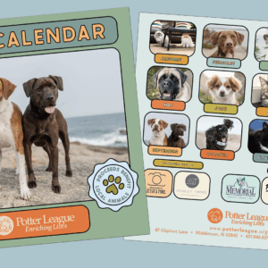 2026 Potter League Photo Calendars