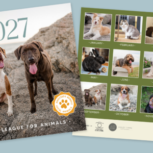 2027 Potter League Photo Calendars