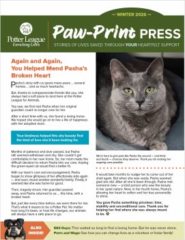 February II NL Web-Ready ACPLA-cover