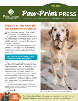 PLFA_Newsletter-cover-fall25
