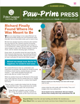 PLFA_Newsletter_July26-Cover