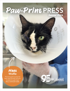 PotterLeague-Pawp-print-press-summer2024